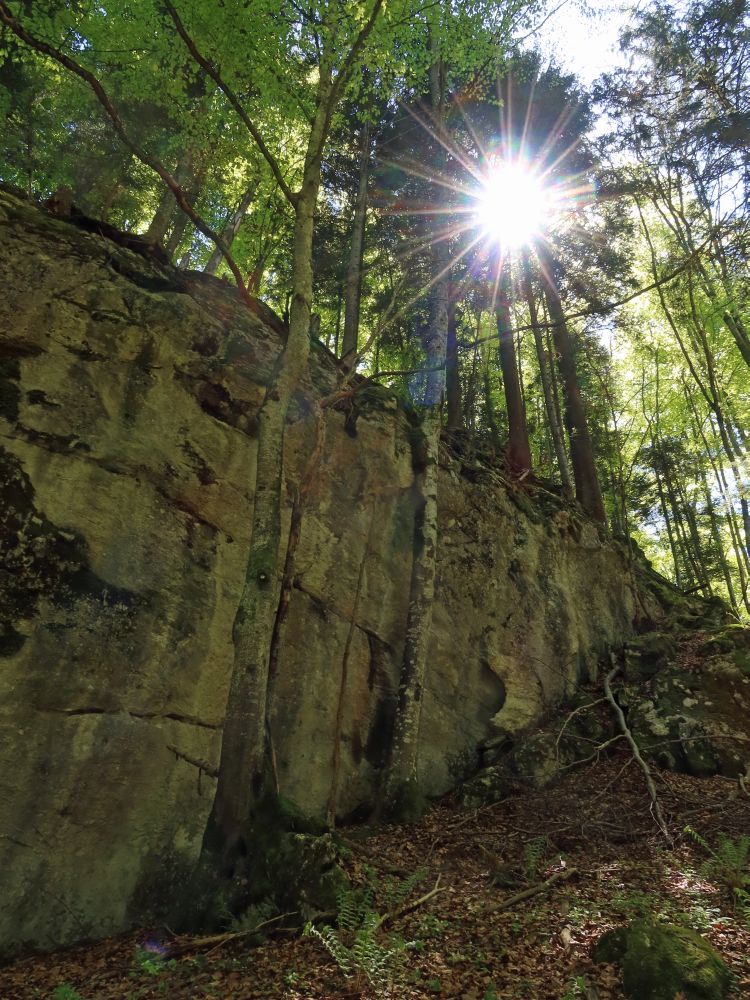 Sonne über Felswand