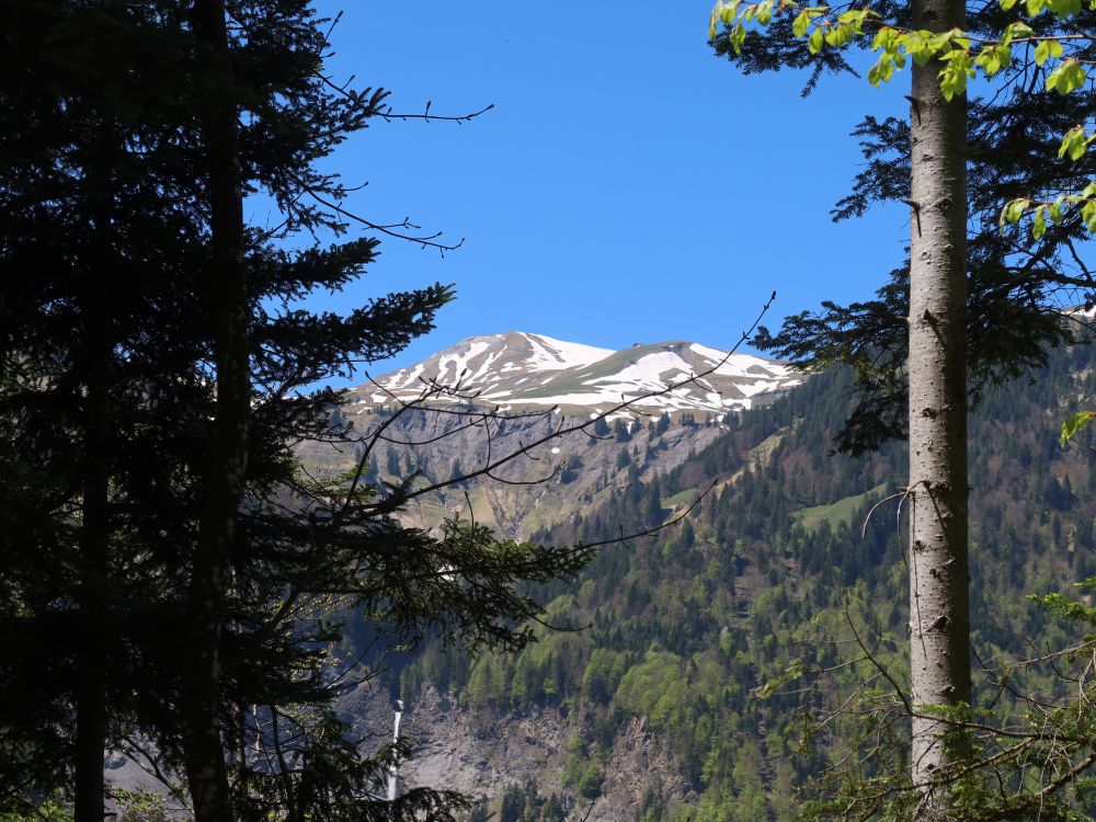 Höch Gumme und Berghaus Schönbüel