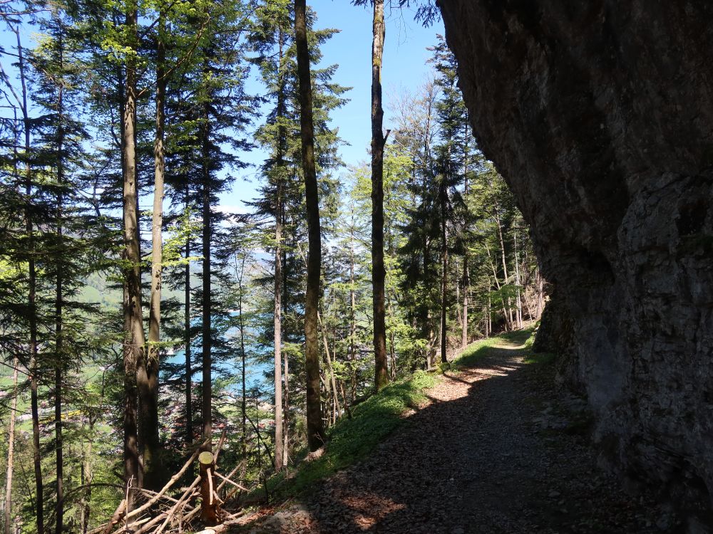 Bergweg in der Balmiflue