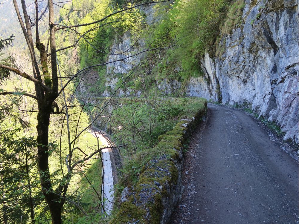 Eisenbahnlinie unterhalb Burgkapelle