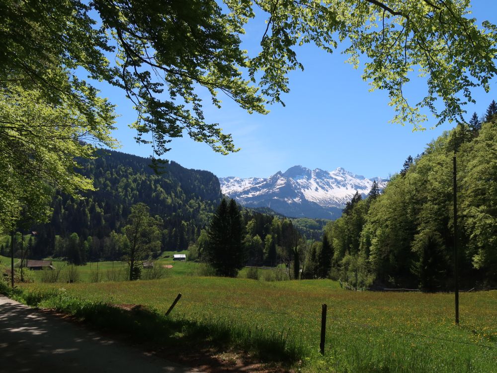 Matti und Berner Alpen