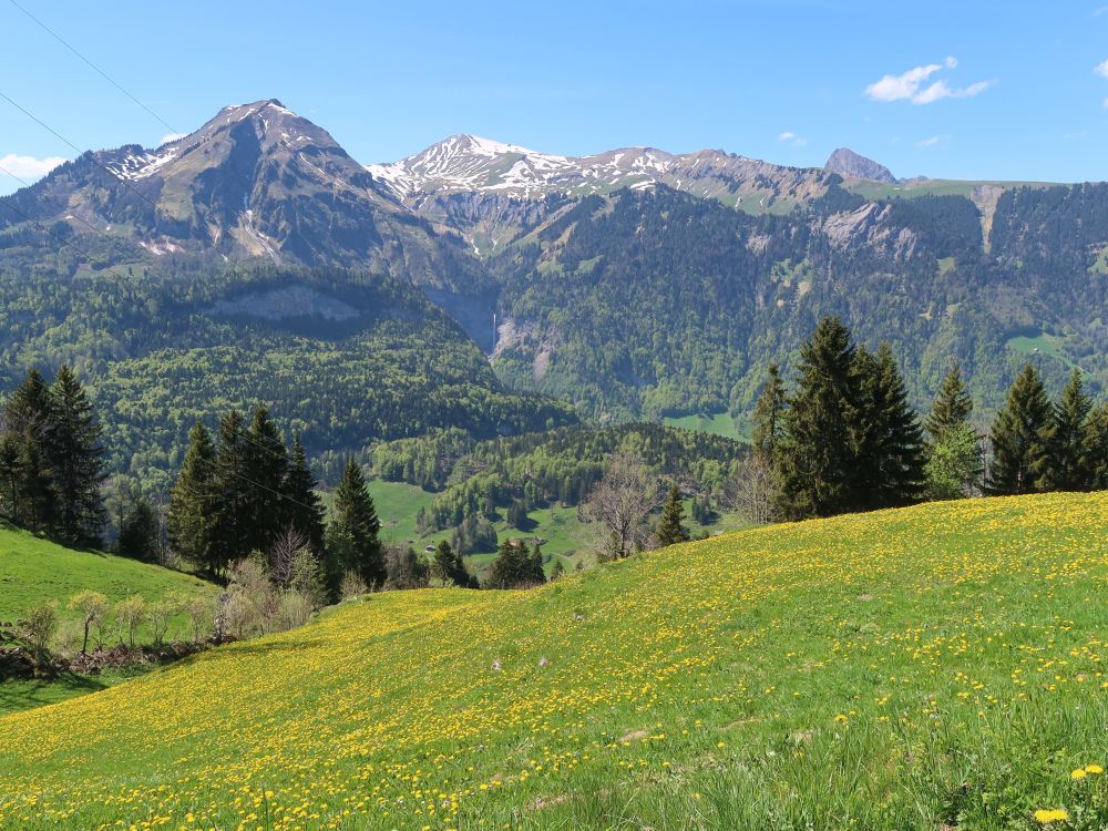 Wilerhorn und Höch Gumme