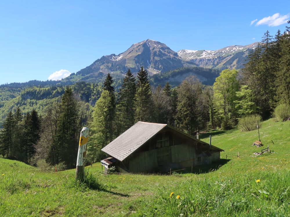 Stall und Wilerhorn