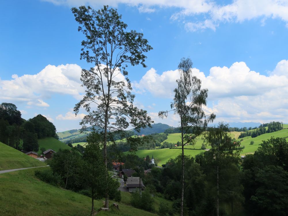 Blick Richtung Krinau