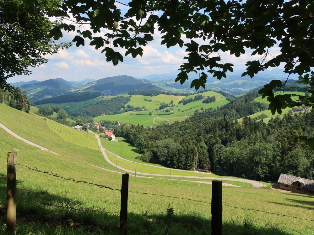 Krinau mit Köbelisberg