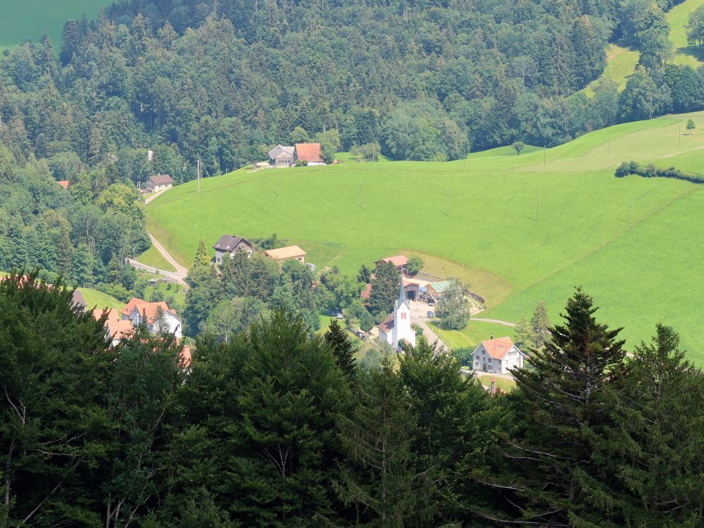 Blick auf Krinau