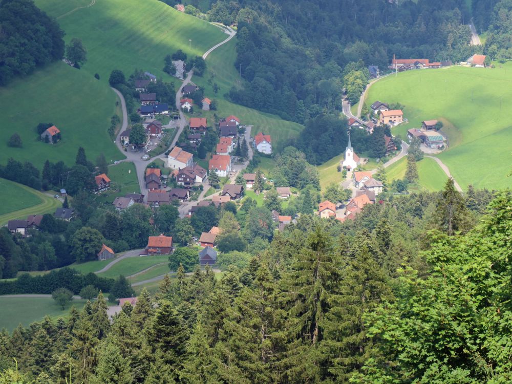 Blick auf Krinau