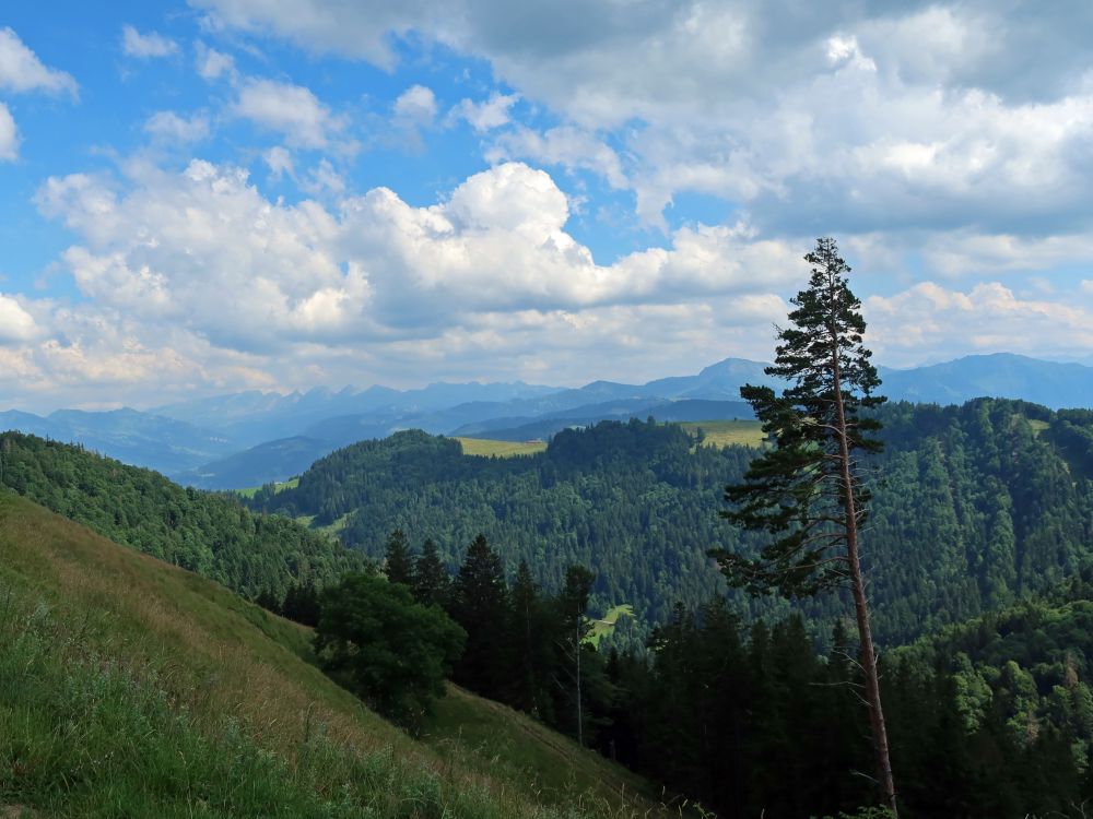 Churfirsten und Speer