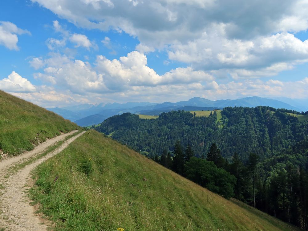 Weg unt Alplispitz und Blick Richtung Speer