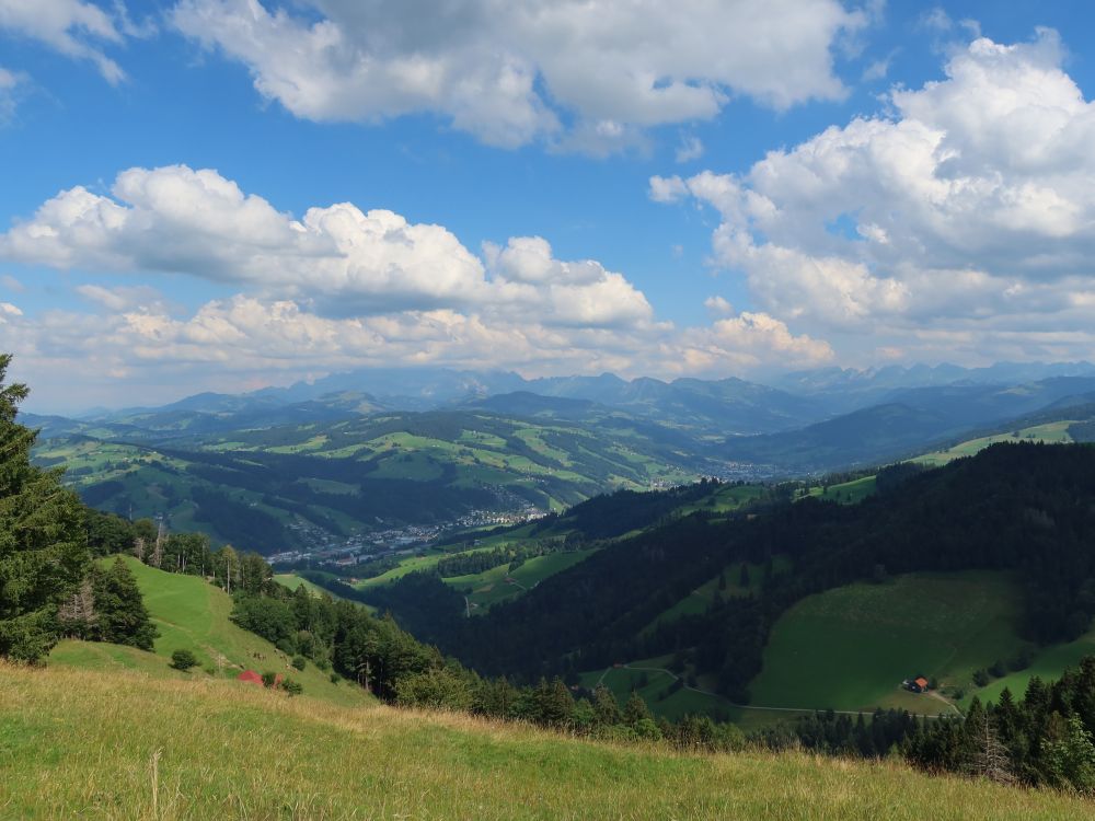 Säntis in Wolken