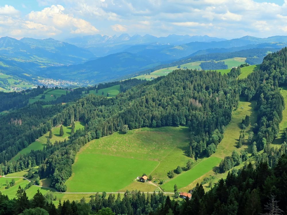 Blick Richtung Churfirsten