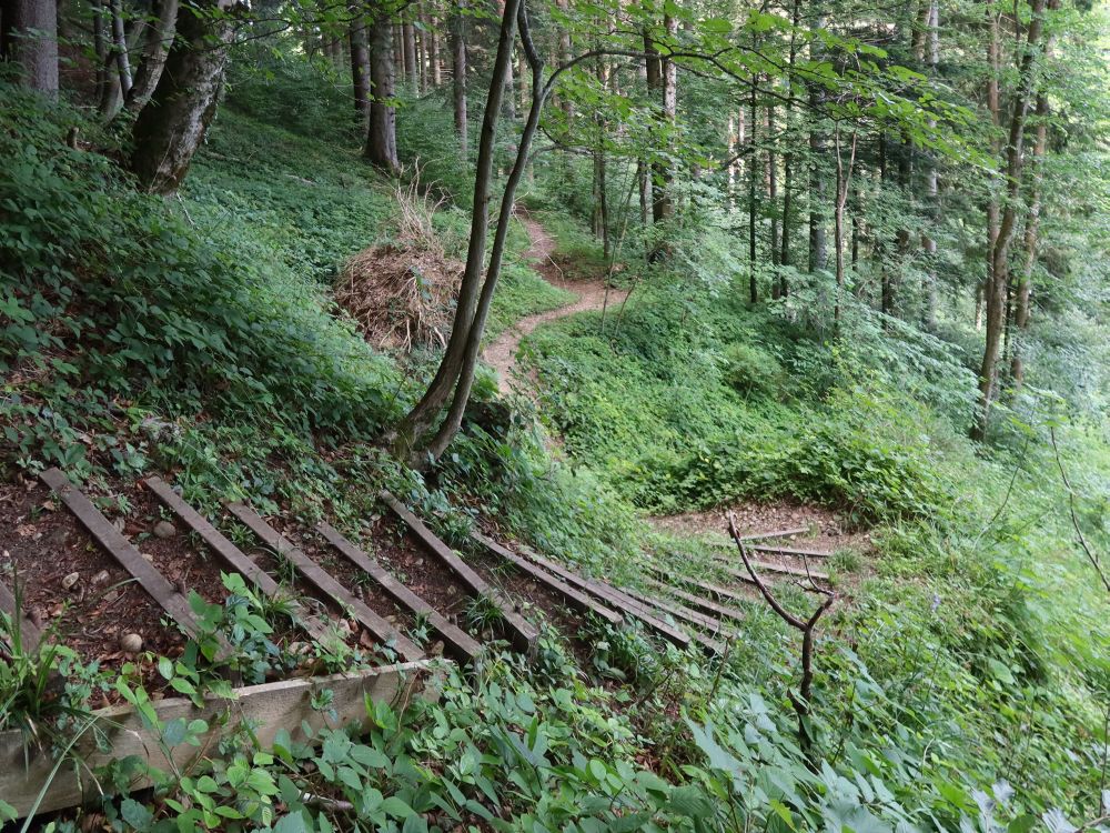 Treppe oberhalb Tüftobel