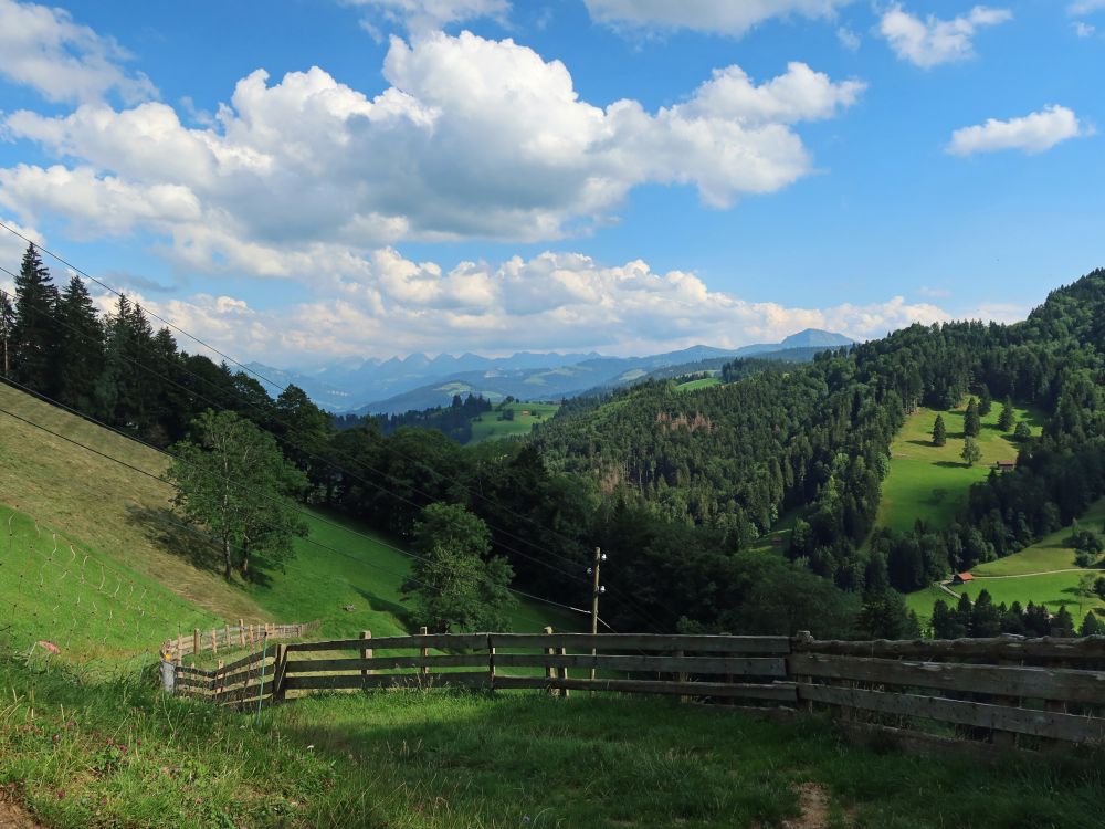 Blick Richtung Churfirsten und Speer