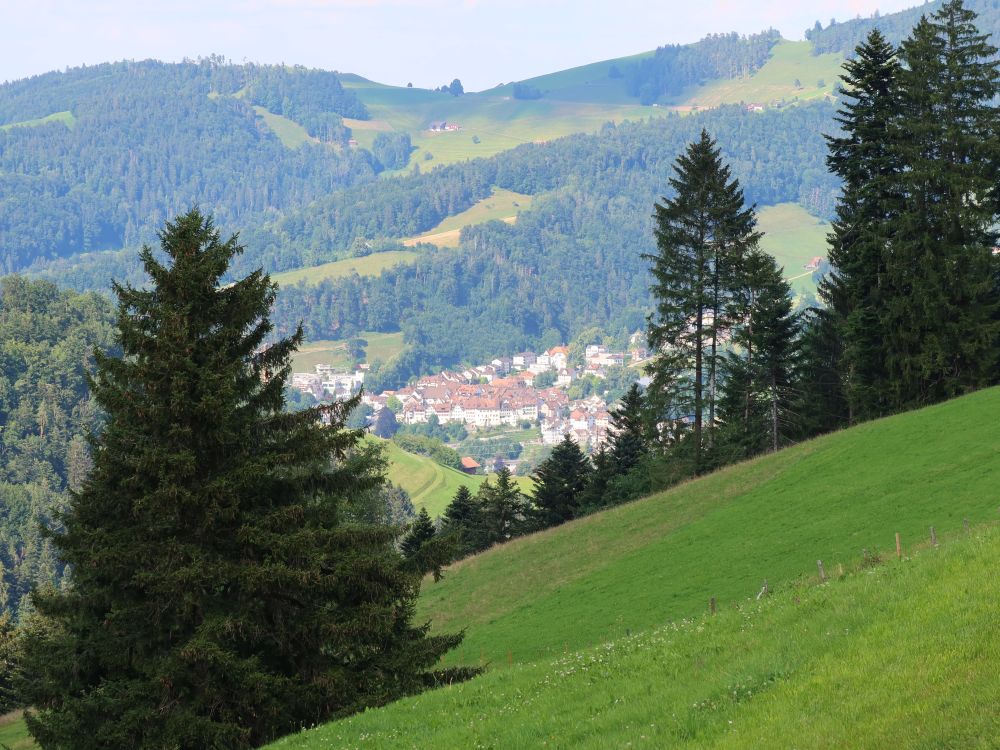 Blick nach Lichtensteig