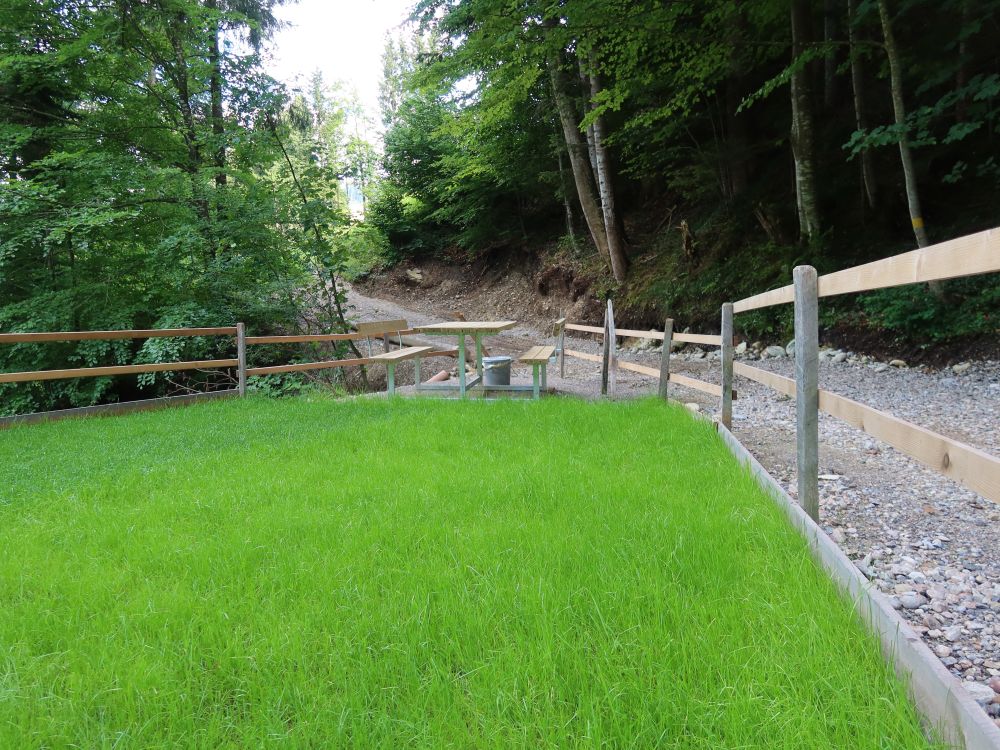 Zierrasen am Picknickplatz