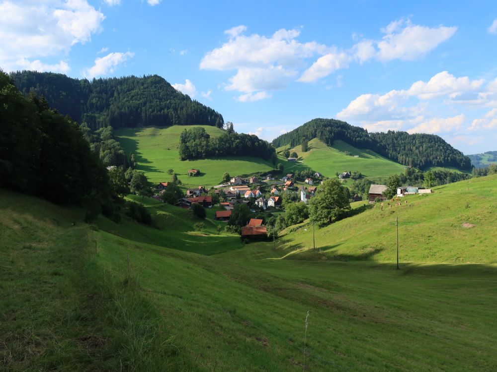 Blick auf Krinau