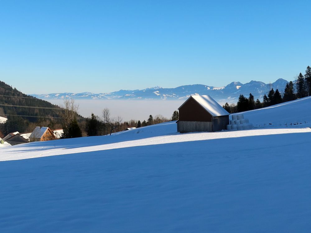 Nebel im Rheintal