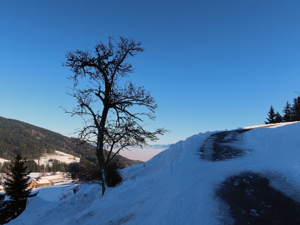 Piste kreuzt Bergweg