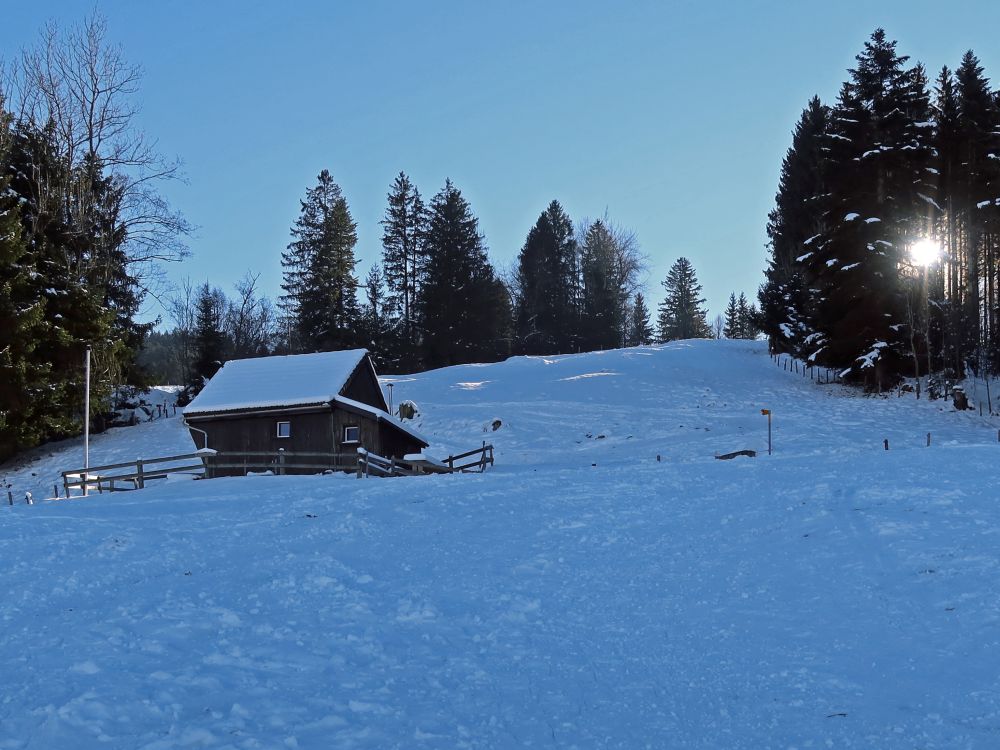 Hütte bei Küenisweid