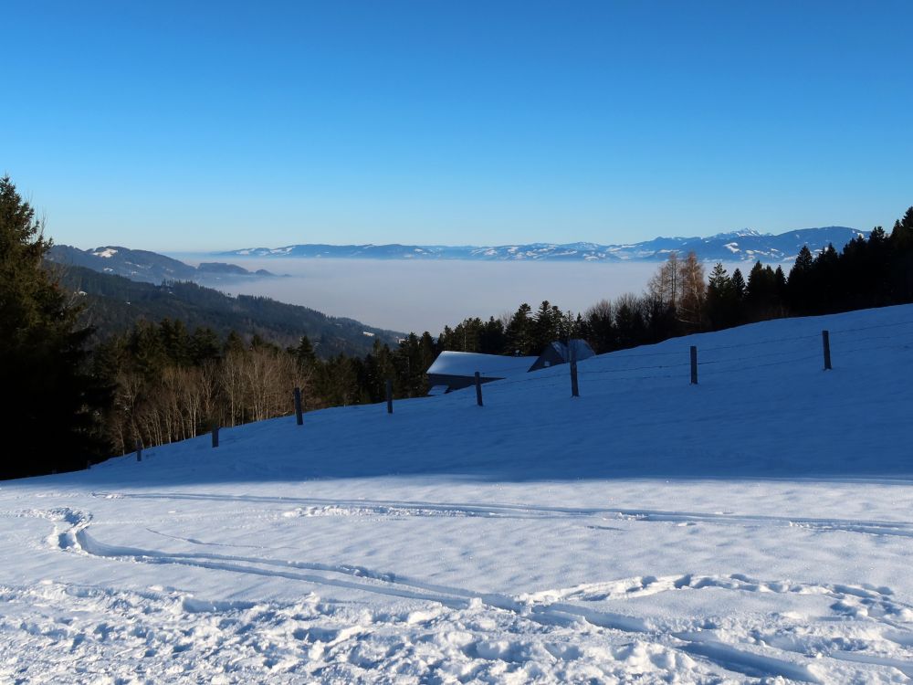 Fresleren und Nebel im Rheintal