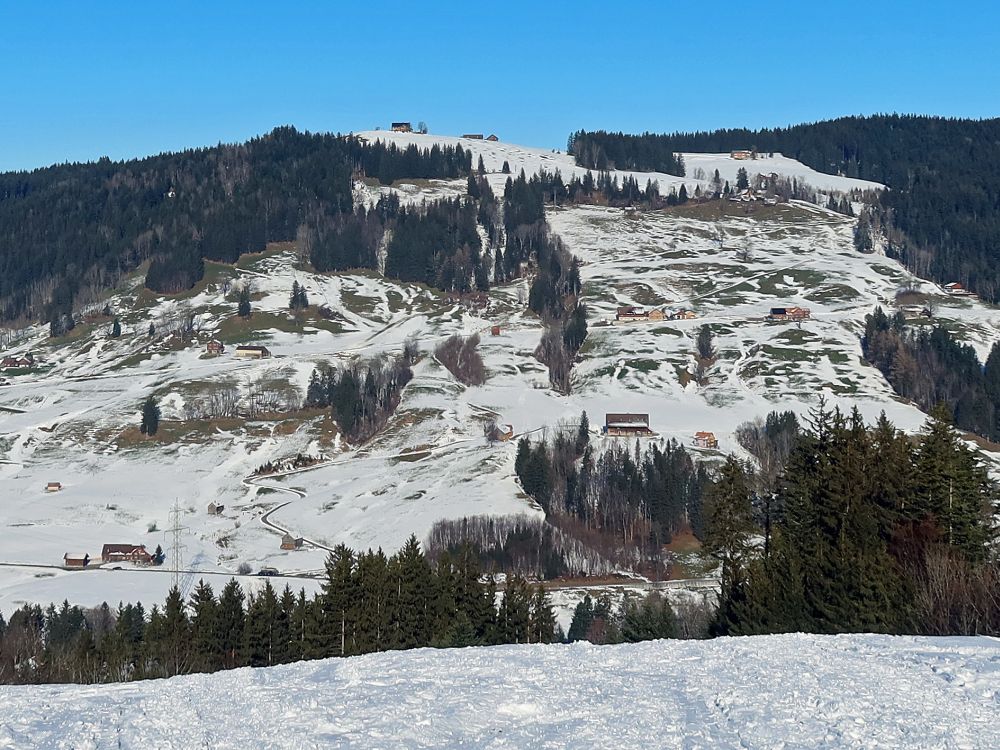 Südhang am Höch Hirsch