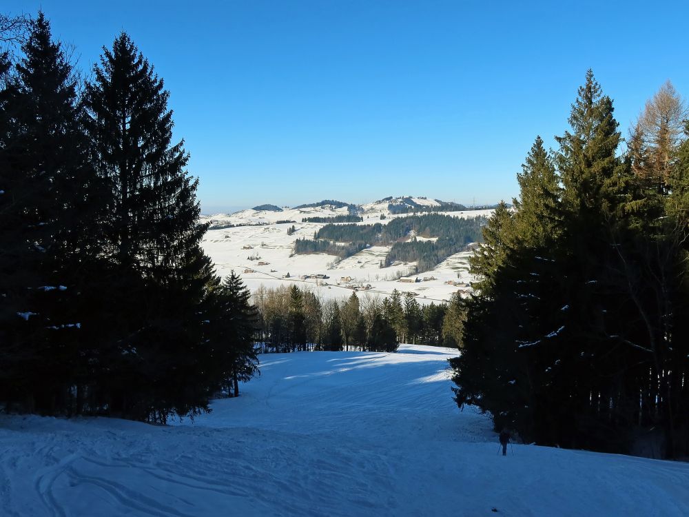 Waldschneisse bei Häserenweidli