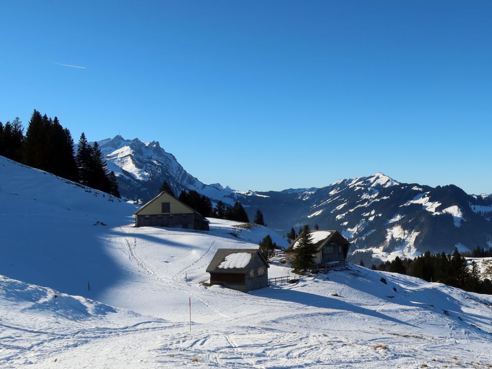 Boschgeren mit Säntis und Kronberg