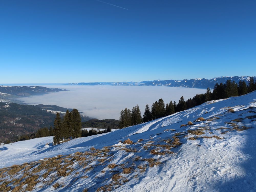 Nebel im Rheintal