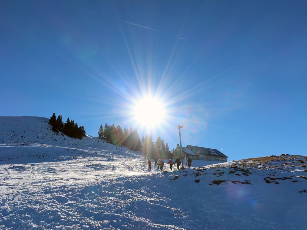 Wandergruppe im Gegenlicht