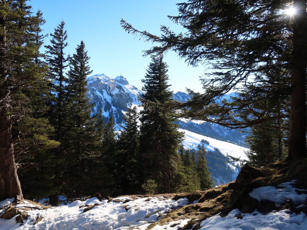 Blick zu Kamor und Hoher Kasten