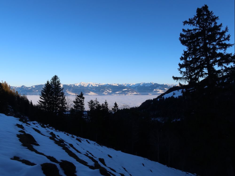 Nebel im Rheintal