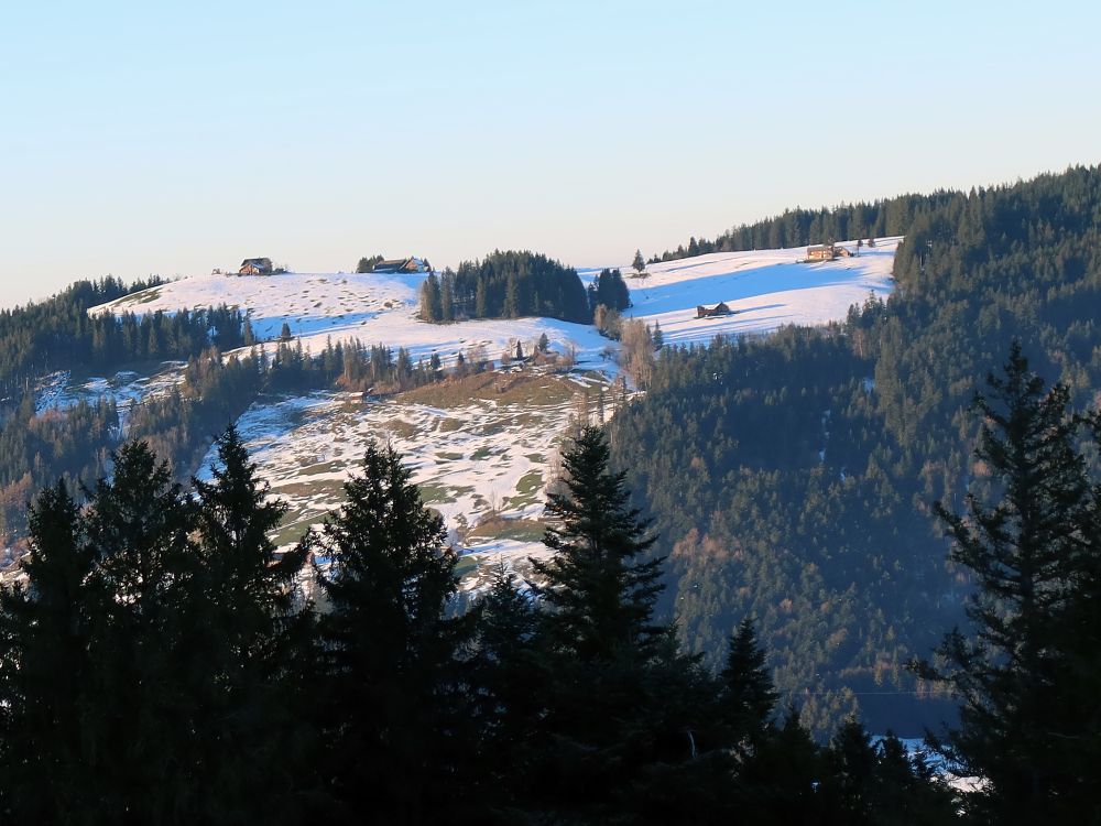 Blick Richtung Höch Hirsch