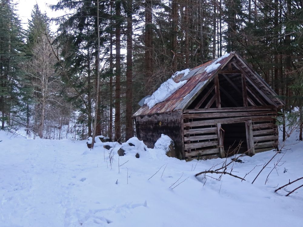 Hütte im Wald