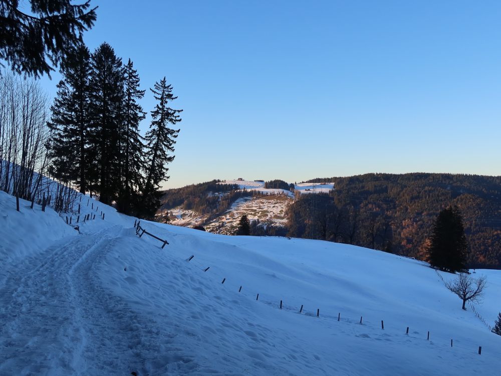 Blick Richtung Höch Hirsch