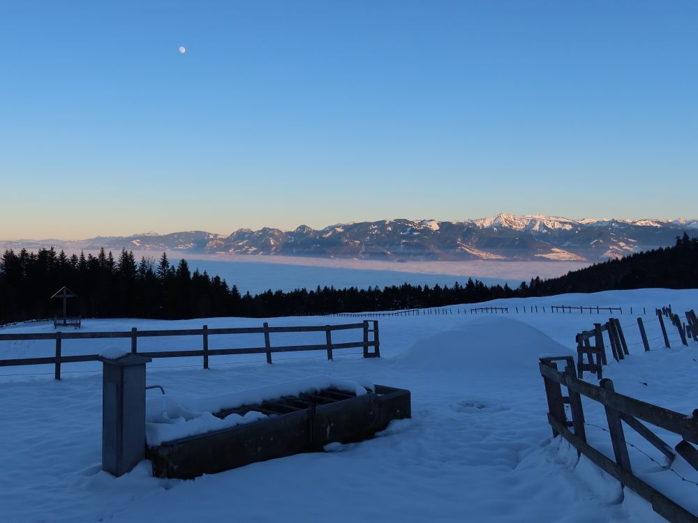 Nebel im Rheintal