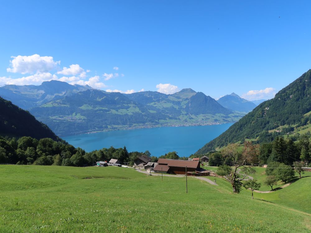 Rotzingel überm Vierwaldstättersee