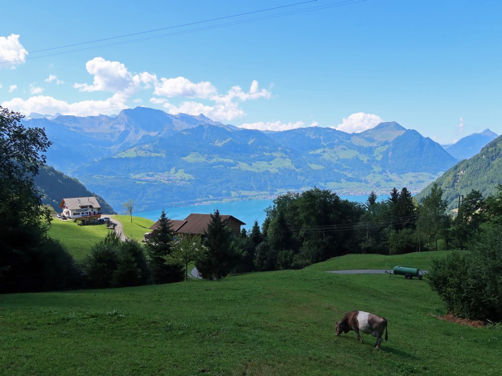 Schwalmis, Buochserhorn und Stanserhorn