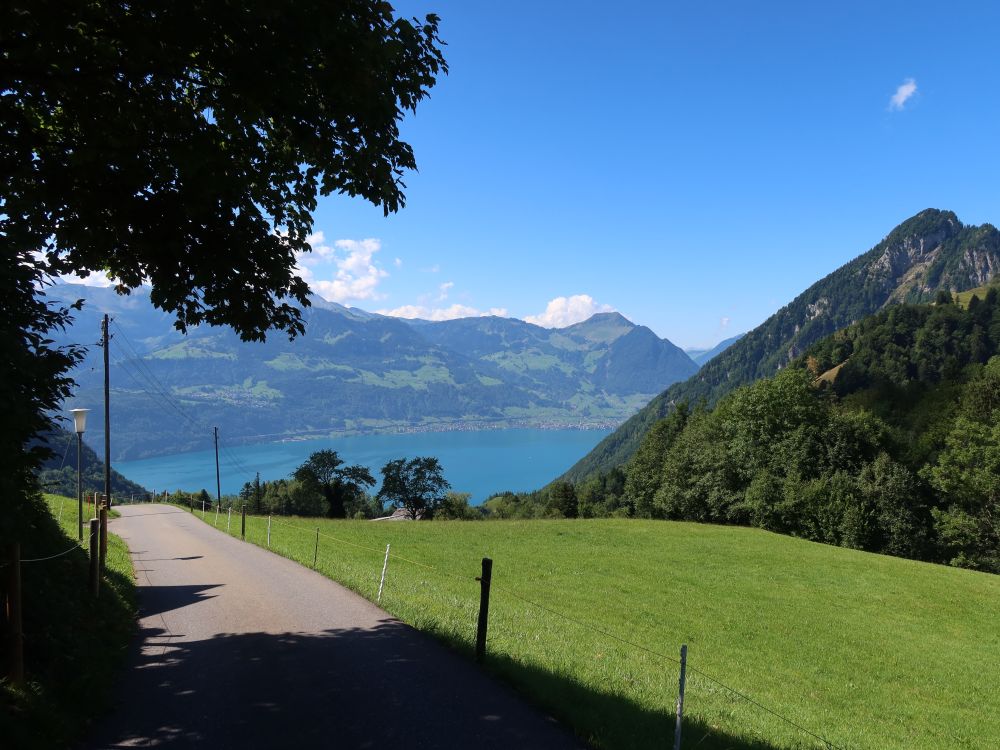 Vierwaldstättersee und Buochserhorn