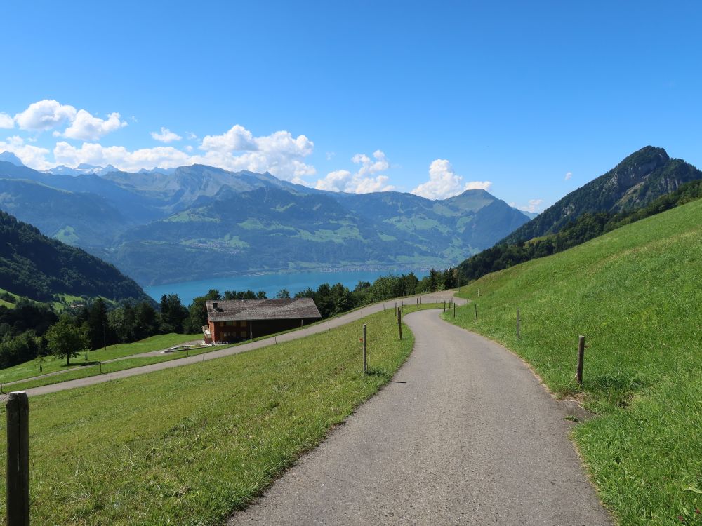 Schwalmis, Buochserhorn und Gersauerstock