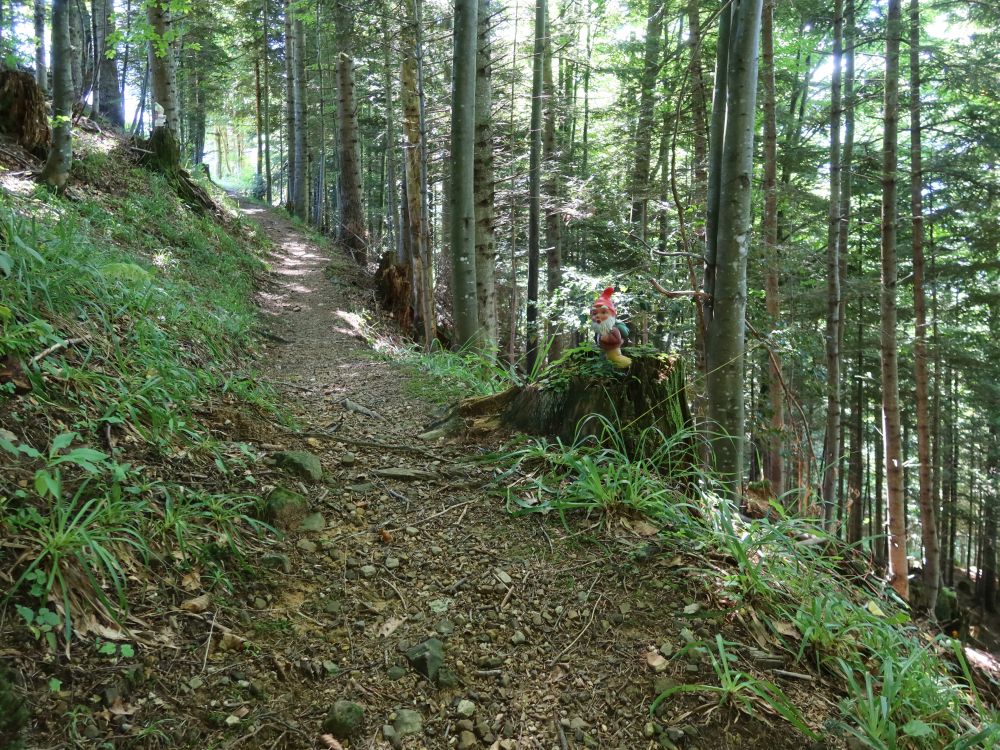 Zwerg am Waldpfad