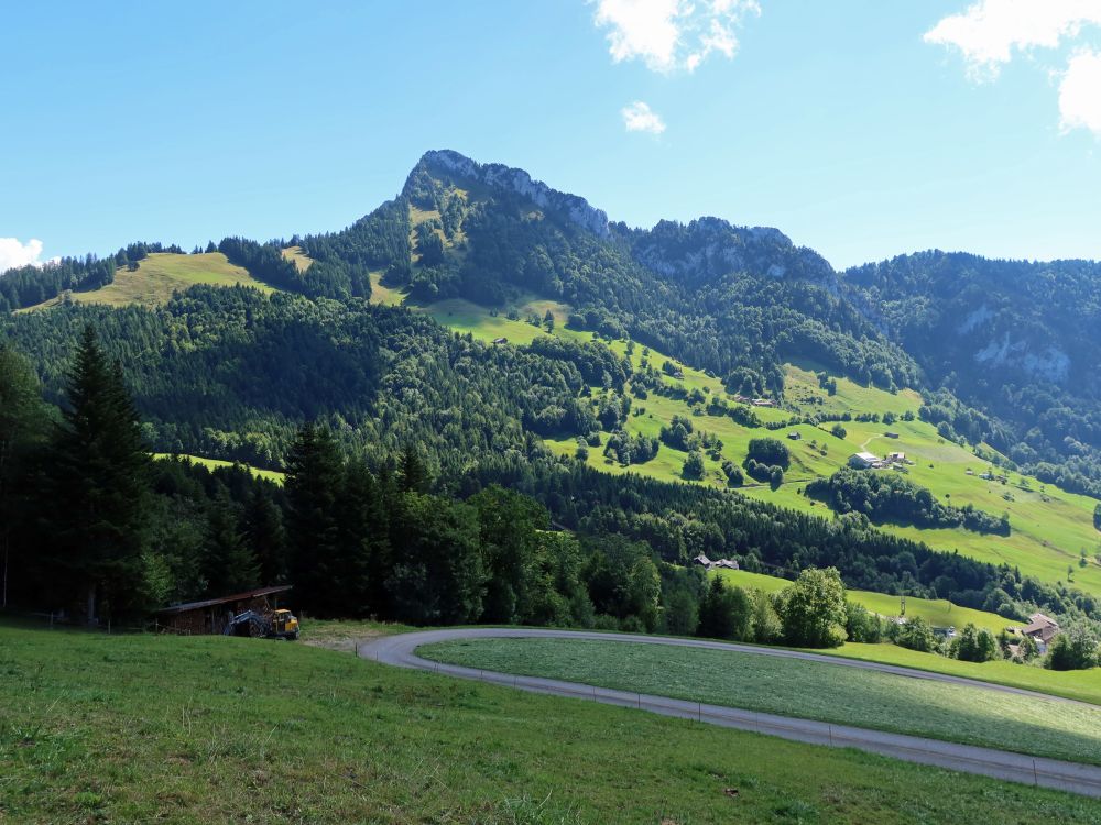 Rigi Hochflue