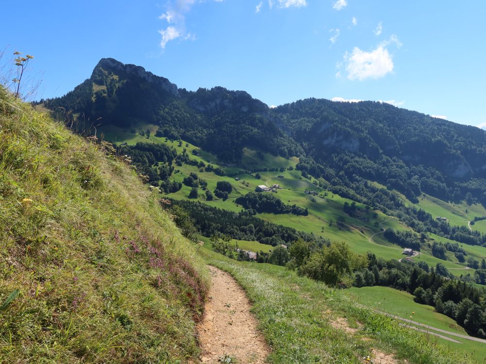 Rigi Hochflue