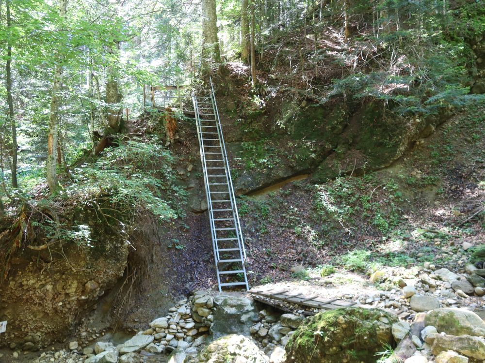steile Treppe bei Rimi