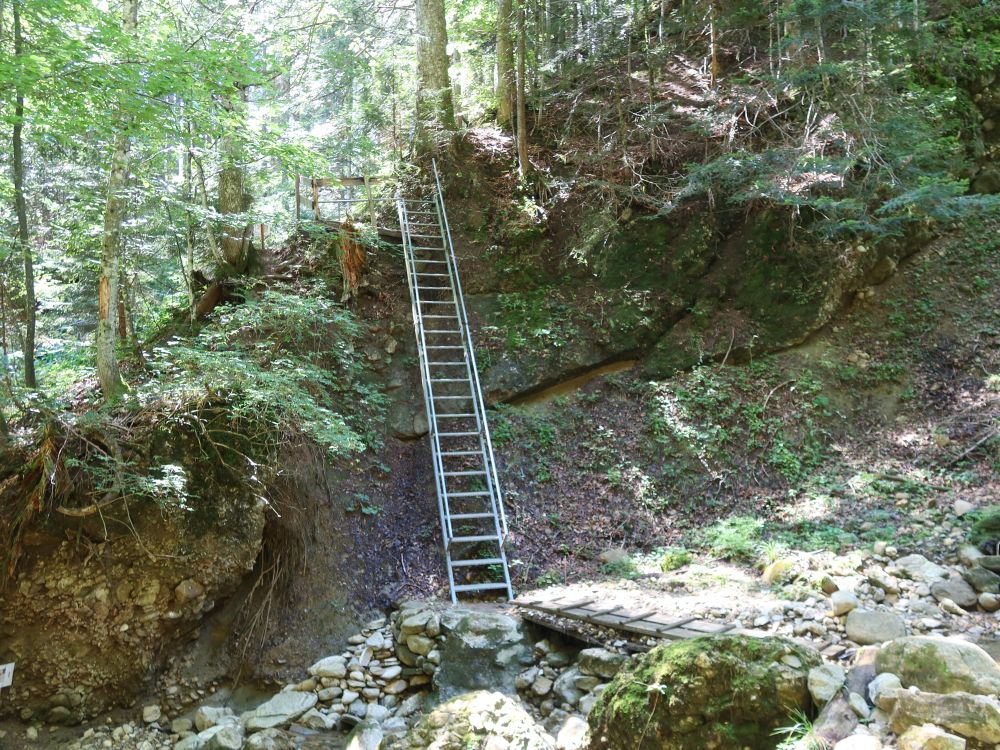 steile Treppe bei Rimi