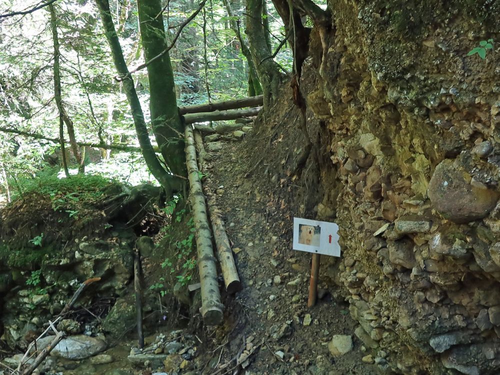 Hundeweg, Alternative zur Treppe