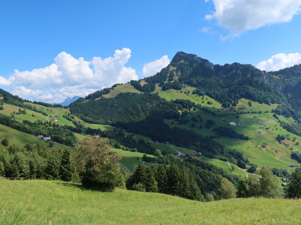 Rigi Hochflue