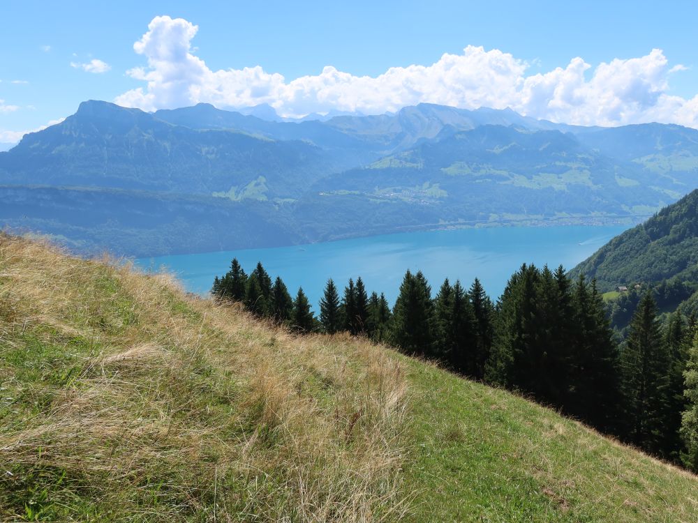 Vierwaldstättersee