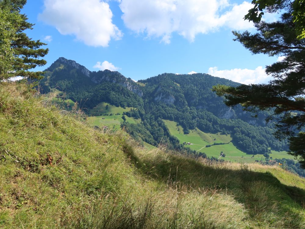 Rigi Hochflue