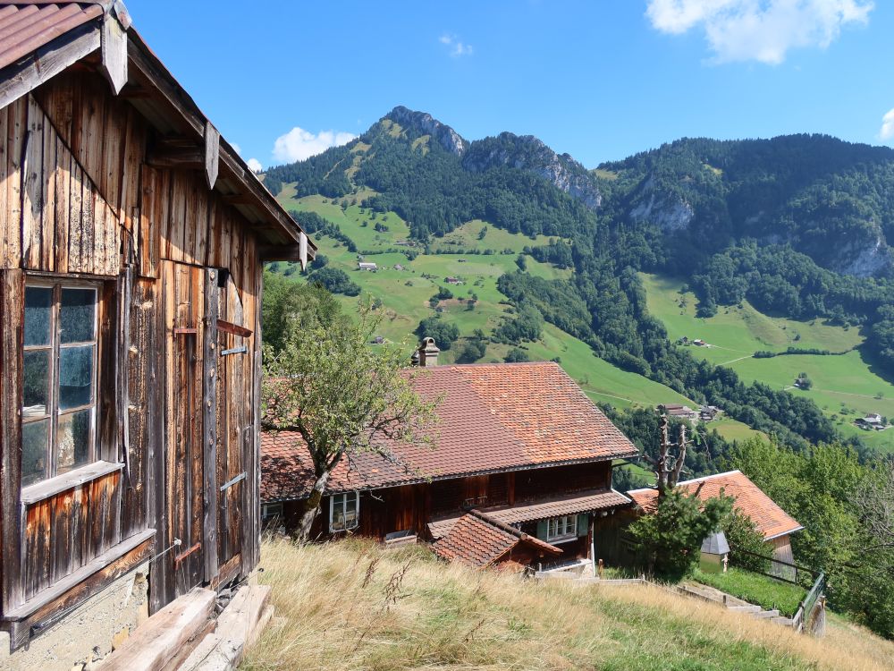 Blick Richtung Rigi Hochflue