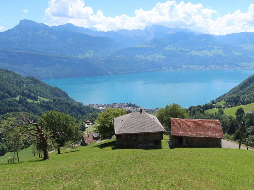 Niderbauen und Schwalmis überm Vierwaldstättersee